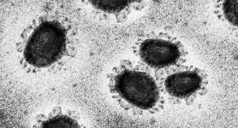 Mutasi dalam SARS-CoV-2 Menawarkan Wawasan tentang Evolusi Virus
